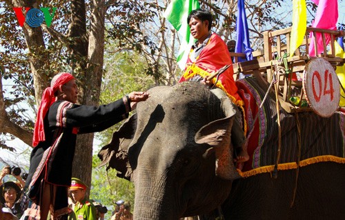 Elephant racing festival in Dak Lak opens - ảnh 1